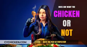 Does She Want the Chicken? Decoding Her Preferences and Choices