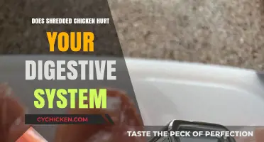 Shredded Chicken and Digestion: Debunking Myths for a Healthy Gut
