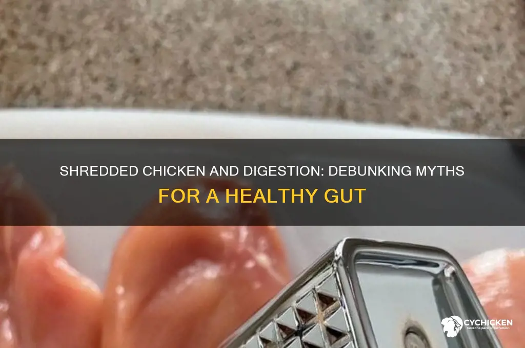does shredded chicken hurt your digestive system