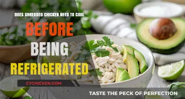 Storing Shredded Chicken: To Cool or Not?