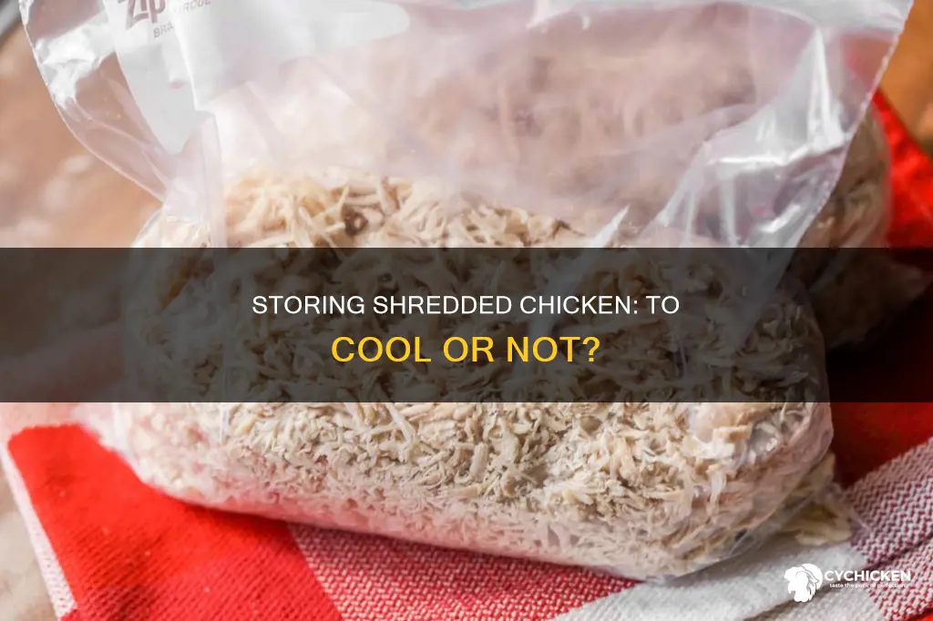 does shredded chicken need to cool before being refrigerated