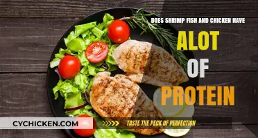 High-Protein Foods: Shrimp, Fish, and Chicken