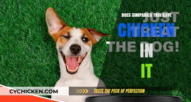 Does Simparica Trio Contain Chicken? Ingredients Explained for Pet Owners