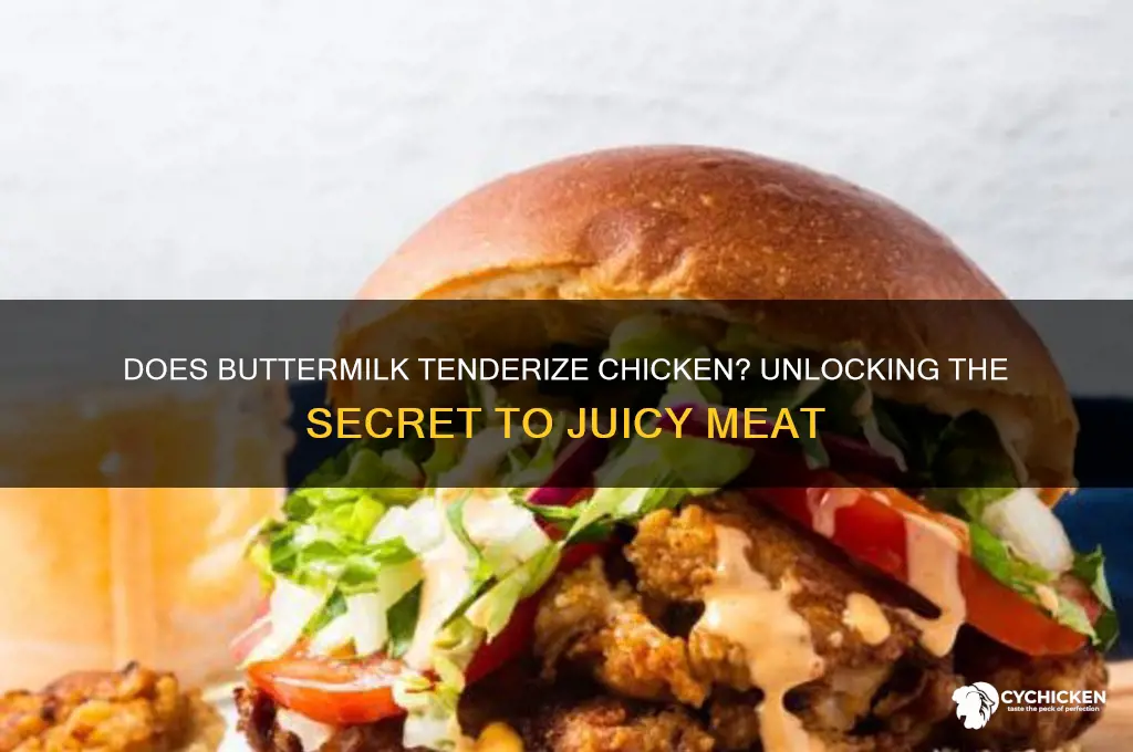 does soaking chicken in buttermilk tenderize it
