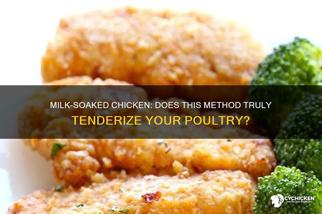 does soaking chicken in milk tenderize it