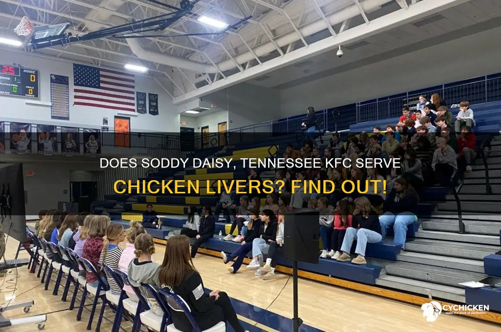does soddy daisy tennessee kfc have chicken livers