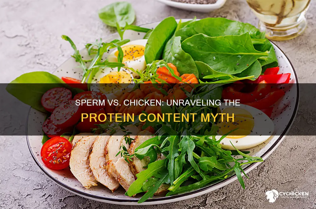 does sperm have more protein than chicken