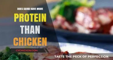 Squid vs. Chicken: Which Protein Source Packs More Punch?