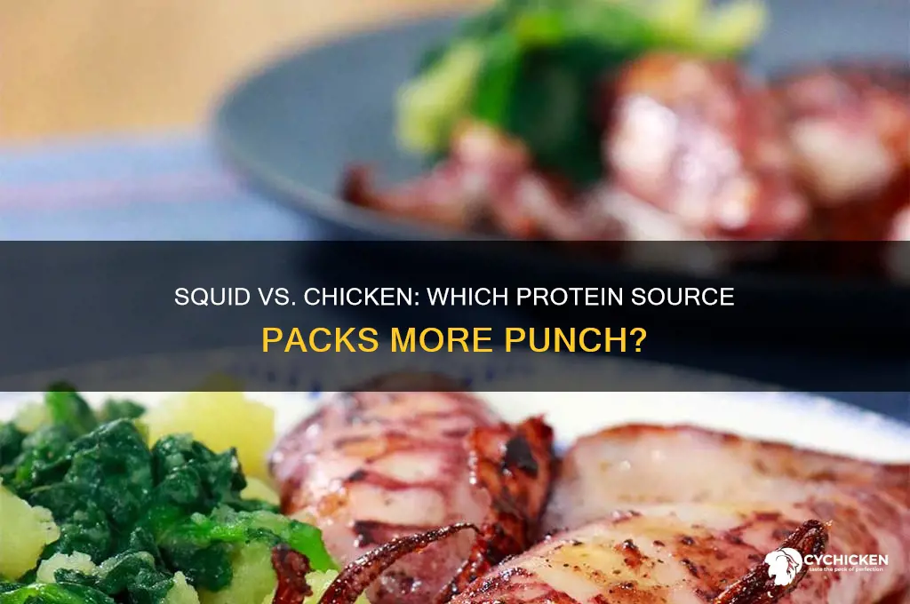 does squid have more protein than chicken