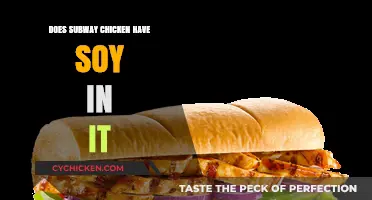 Does Subway Chicken Contain Soy? Ingredients Breakdown and Allergen Info