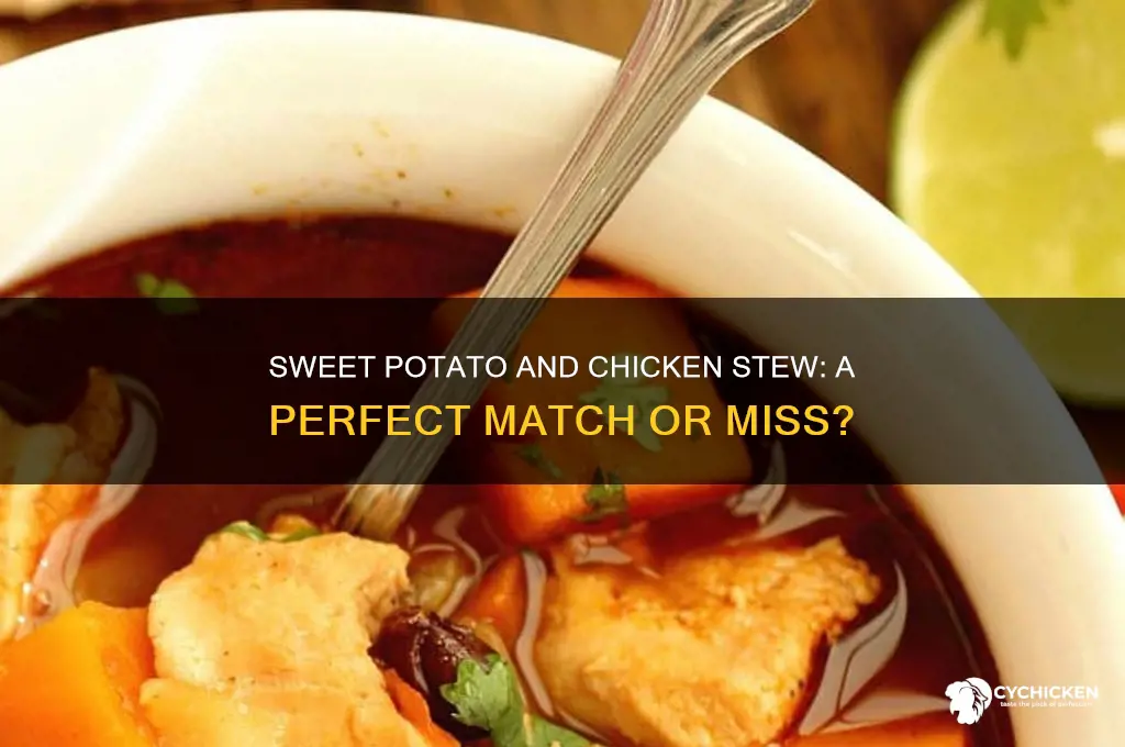 does sweet potato go with chicken stew