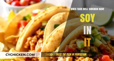 Does Taco Bell Chicken Contain Soy? A Detailed Ingredient Breakdown