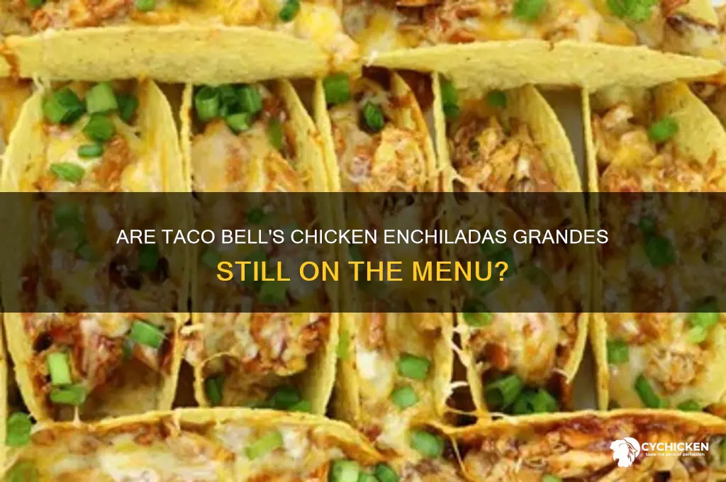 does taco bell still have chicken enchiladas grandes