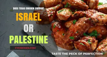 Texas Chicken's Stance: Israel or Palestine Support Examined