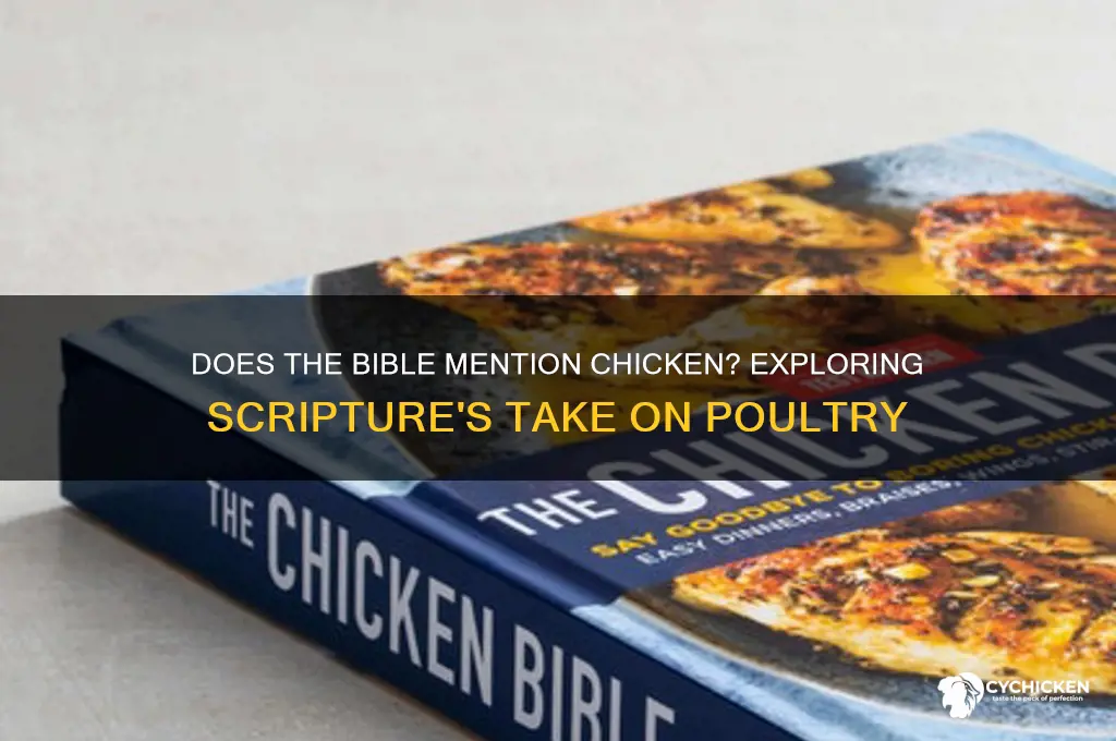 does the bible say anything about chicken