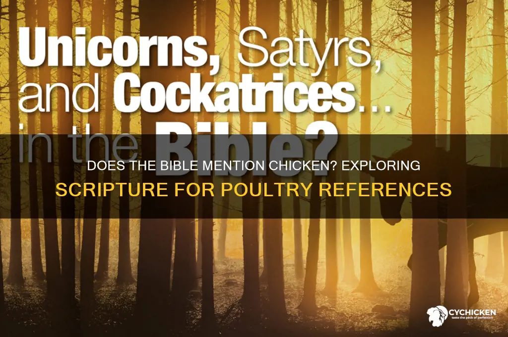 does the bible say the word chicken
