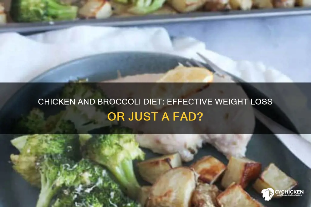 does the chicken and broccoli diet work