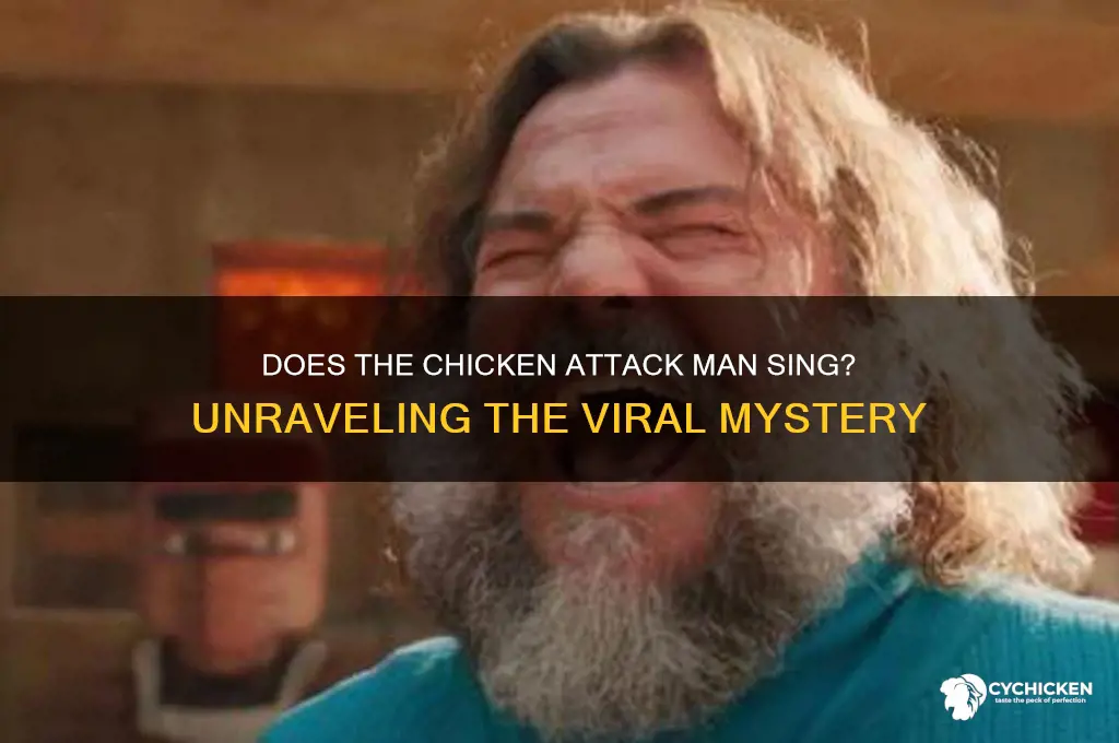 does the chicken attack man really sing