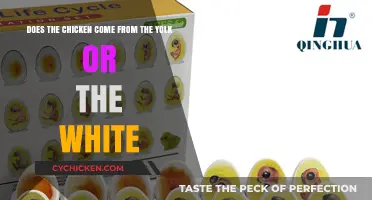 Origin of Life: Chicken and the Egg Yolk Mystery