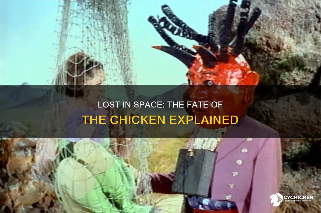 does the chicken die in lost in space