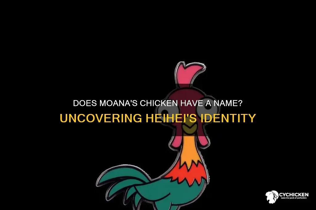 does the chicken in moana have a name