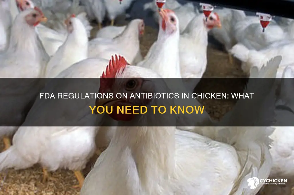 does the fda allow antibiotics in chicken
