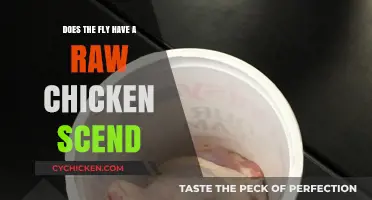 Do Flies Emit a Raw Chicken Scent? Unraveling the Myth
