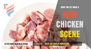 Does the Fly Feature a Raw Chicken Scene? Unraveling the Myth
