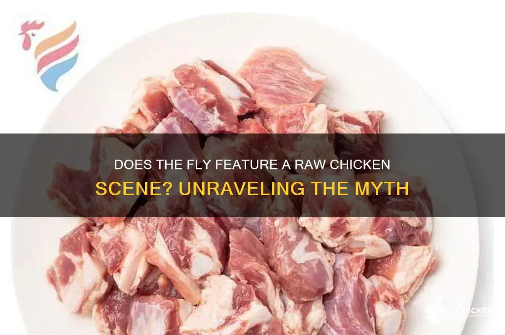 does the fly have a raw chicken scene