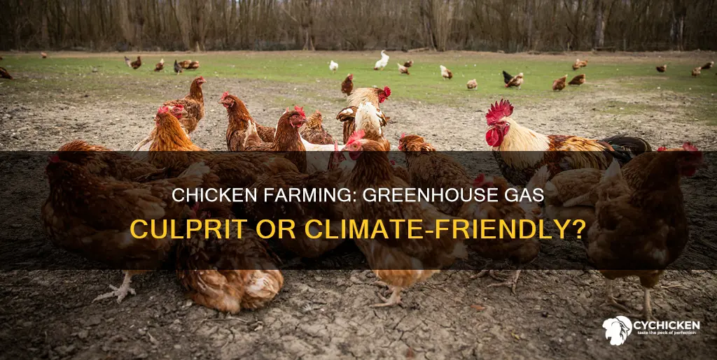 does the growing of chicken contribute to green house gases