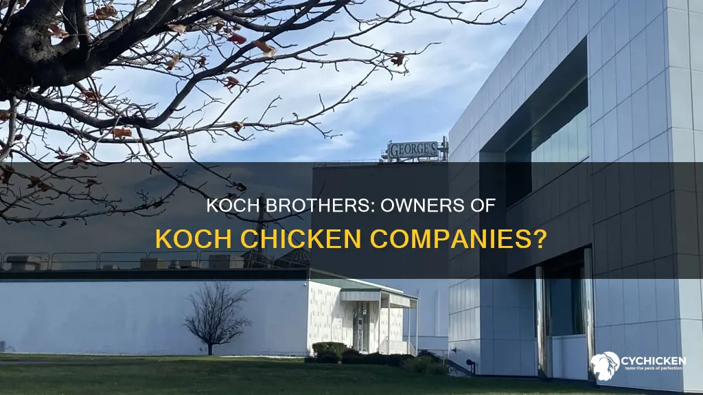 does the koch brothers own the koch chicken companys