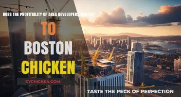 Boston Chicken: Area Developer Profitability for Success?