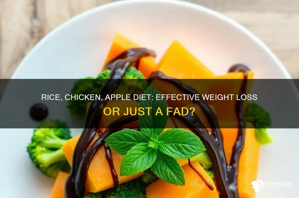 does the rice chicken apple diet really work