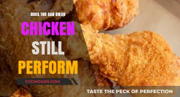 Is the San Diego Chicken Still Entertaining Fans Today?
