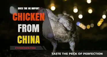 Does the UK Import Chicken from China? Facts and Insights