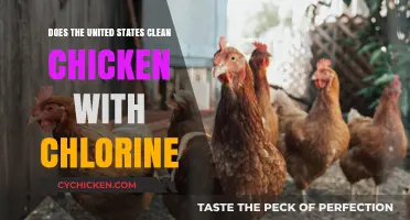 Chlorine-Washed Chicken: Uncovering the US Poultry Processing Debate