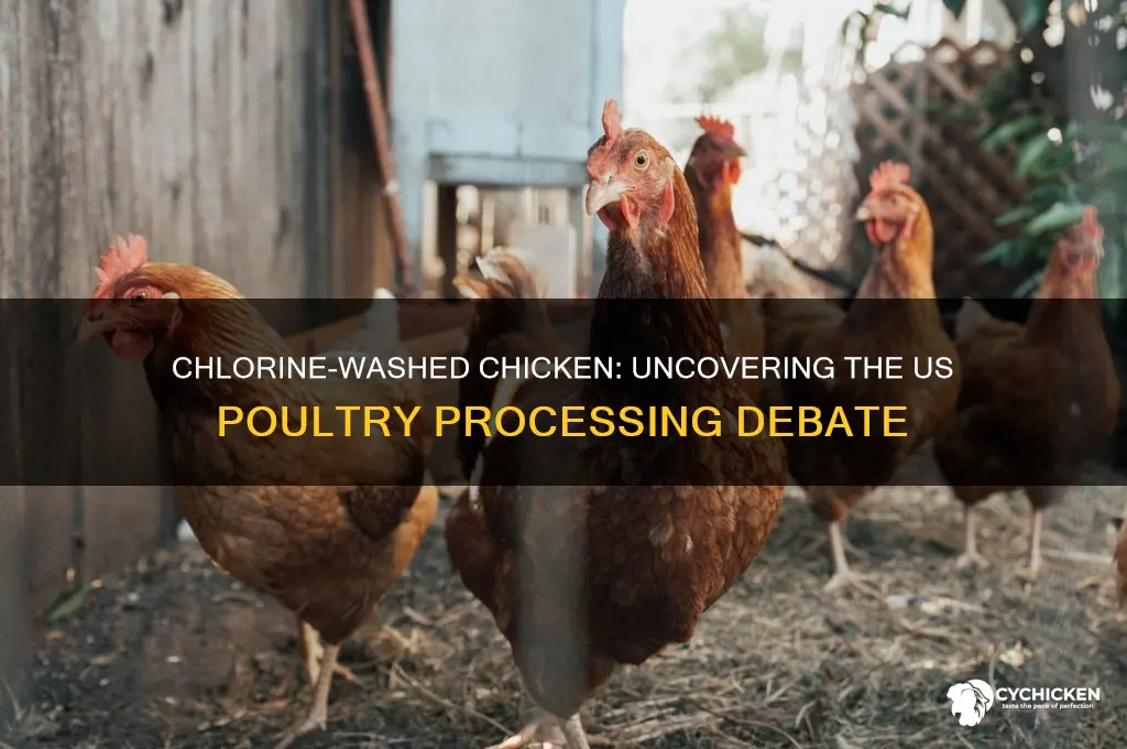 does the united states clean chicken with chlorine