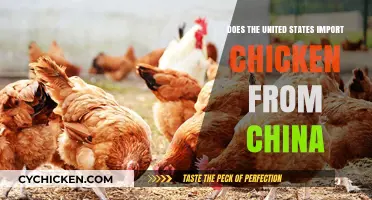 Does the U.S. Import Chicken from China? Facts Revealed