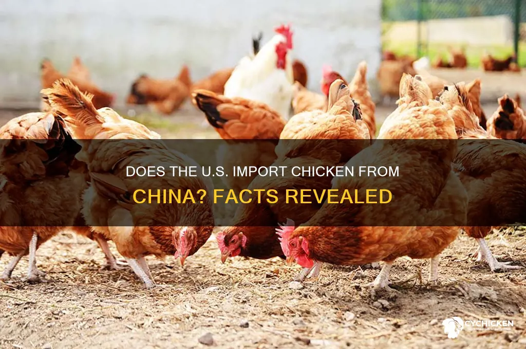 does the united states import chicken from china
