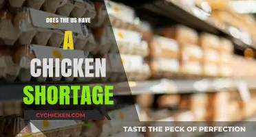 Is the US Facing a Chicken Shortage? What You Need to Know