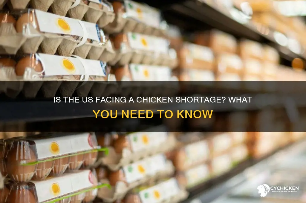 does the us have a chicken shortage