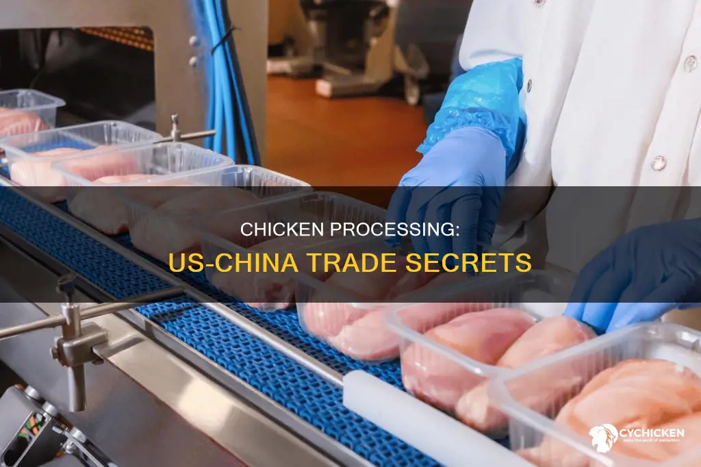 does the us send chicken to china for processing
