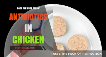 USDA Antibiotic Regulations: Are They Allowed in Chicken Production?
