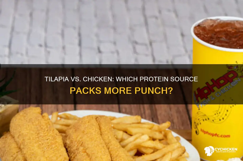 does tilapia have more protein than chicken