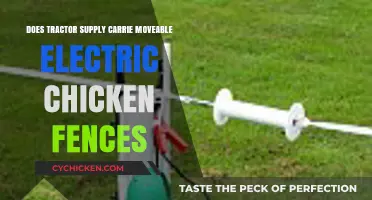 Tractor Supply's Portable Electric Chicken Fences: A Convenient Poultry Solution