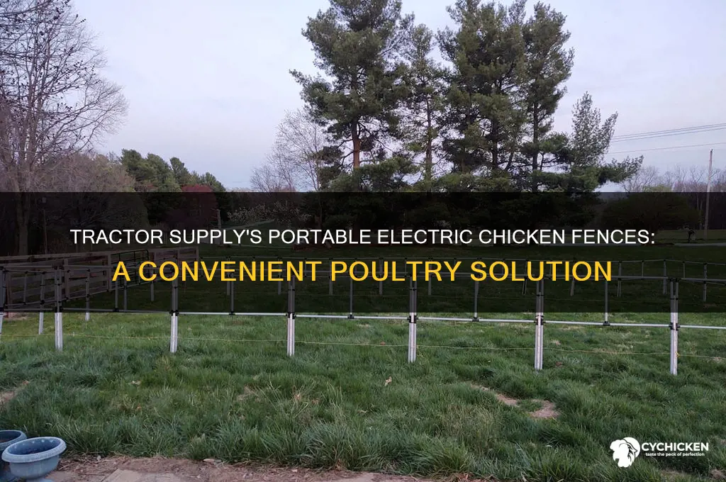 does tractor supply carrie moveable electric chicken fences