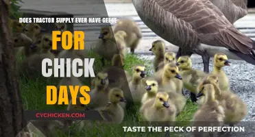 Tractor Supply's Chick Days: Geese Included?
