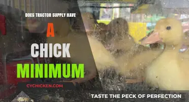 Tractor Supply's Chick Minimum Policy: What You Need to Know