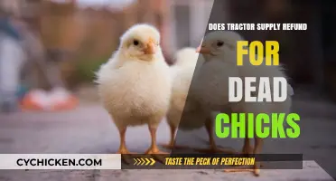 Tractor Supply's Dead Chick Refund Policy: What You Need to Know