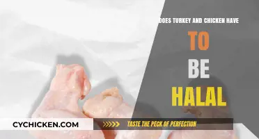 Halal Poultry: Understanding Turkey and Chicken Requirements for Consumers
